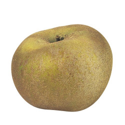 Jus de Pomme de Reinette 33cl