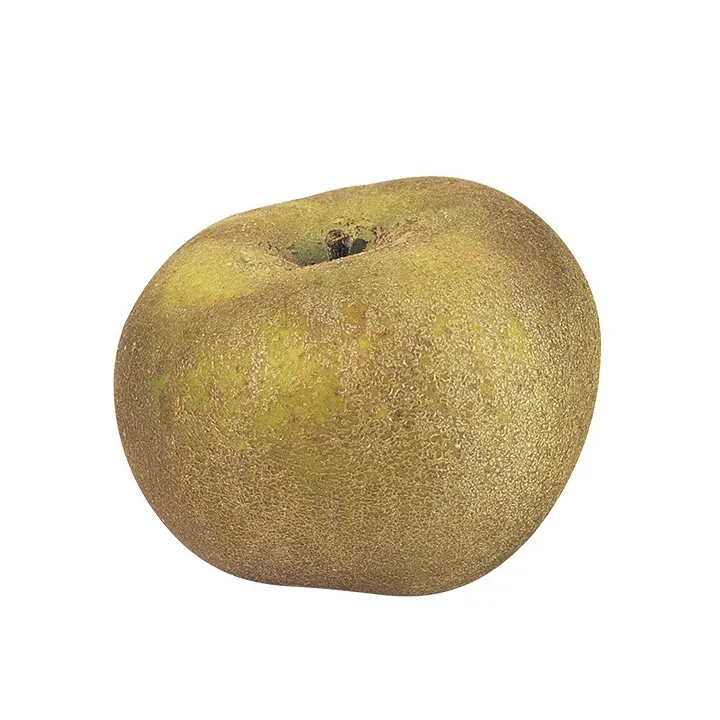 Jus de Pomme de Reinette 33cl