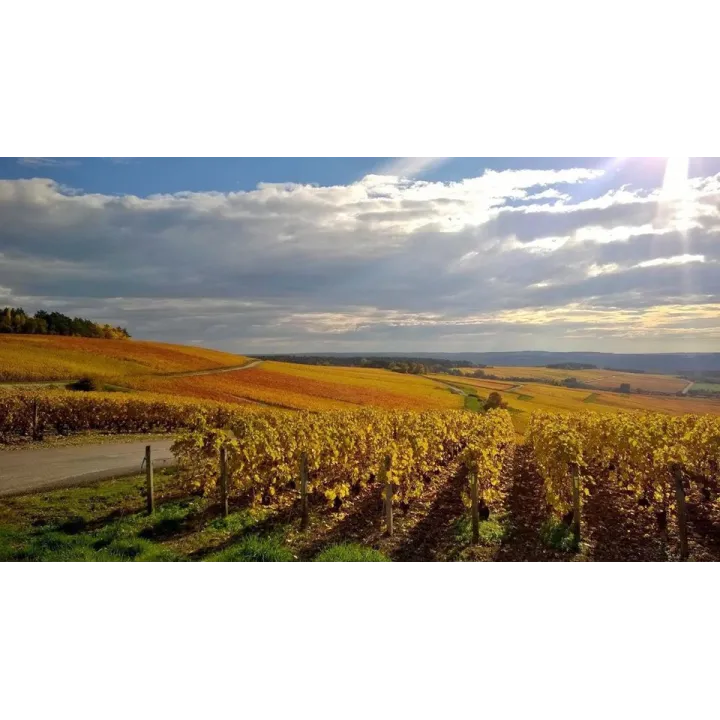 Champagne Baudry Brut Privilège