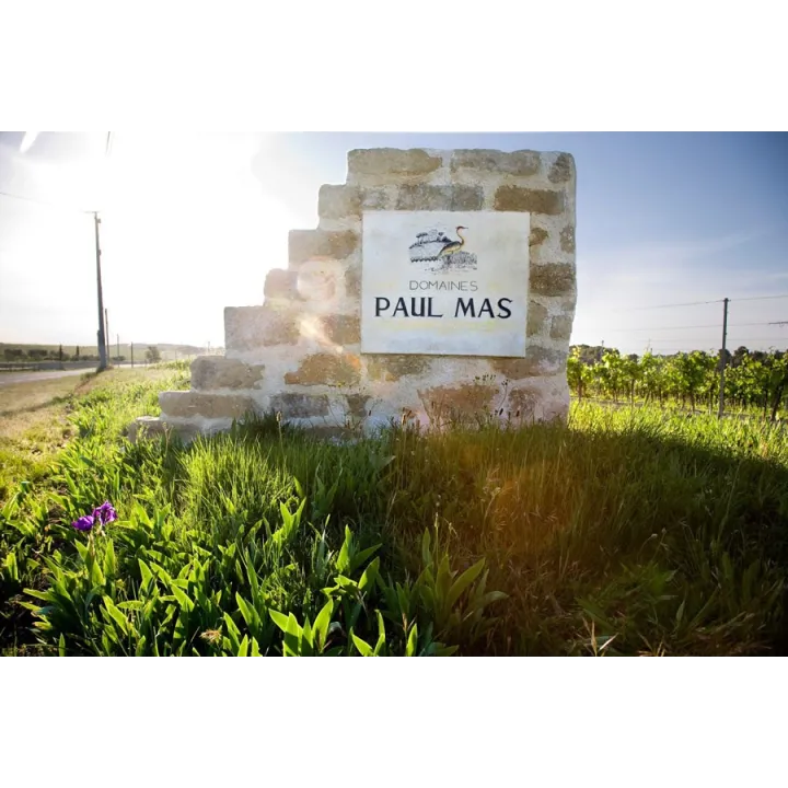 Château Paul Mas - Belluguette 2024