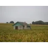 Yves Breussin - Vouvray Demi-sec