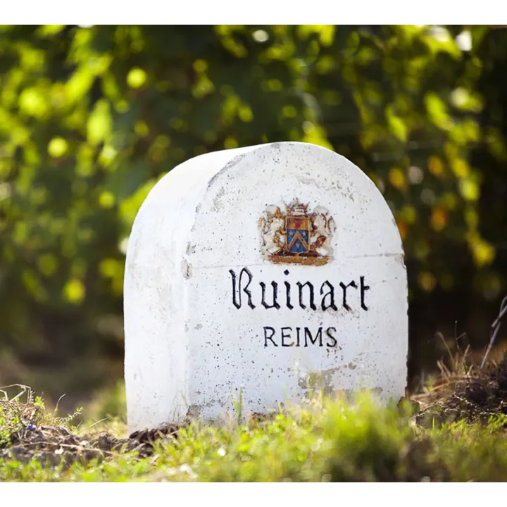 Champagne Ruinart - Ruinart Brut Rosé