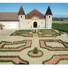 Château Laffite-Teston - Rêve d'Automne 2008