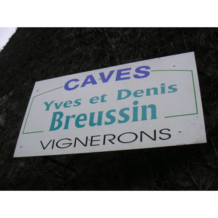 Yves Breussin - Vouvray Brut Tradition "Fines Bulles"