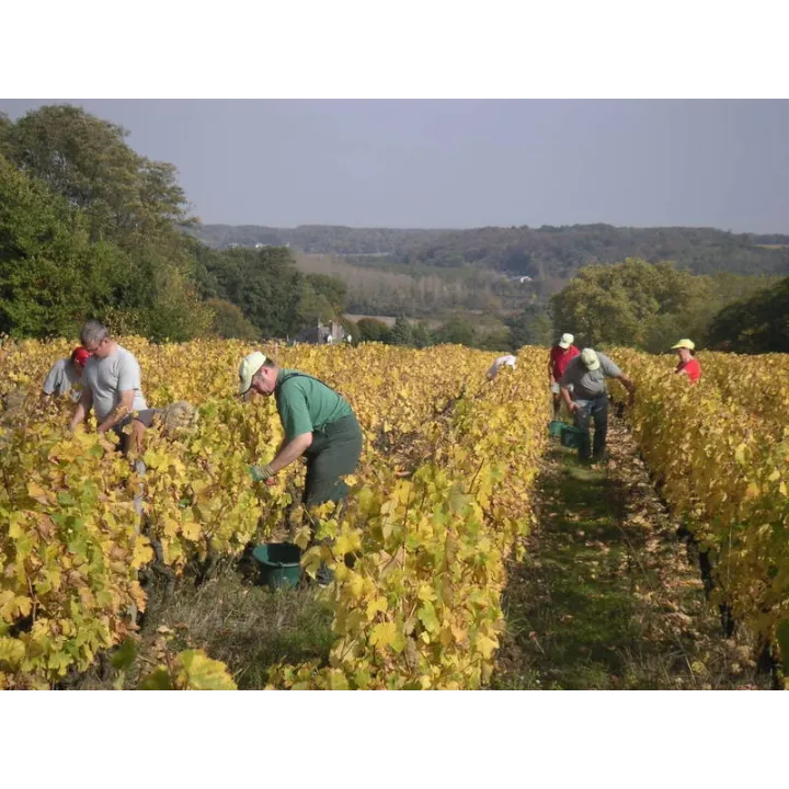 Yves Breussin - Vouvray Brut Tradition "Fines Bulles"