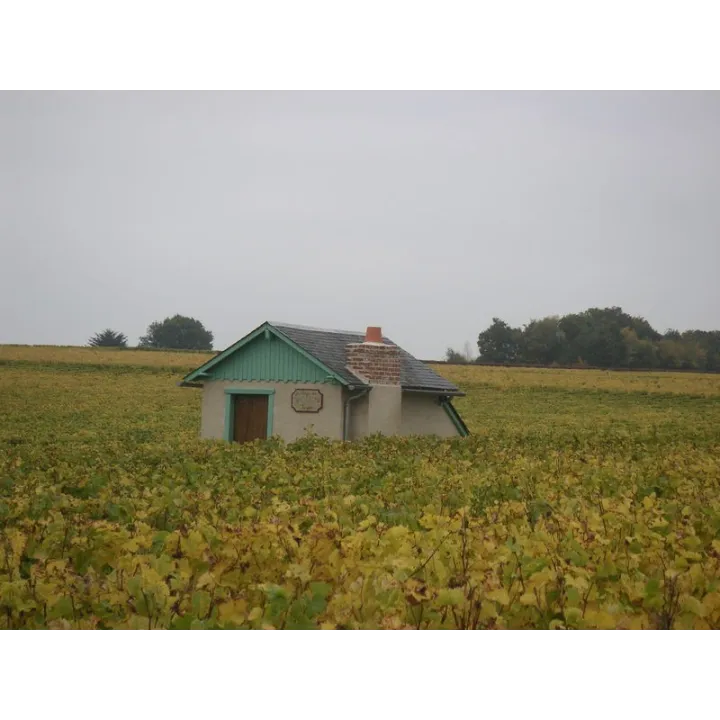 Yves Breussin - Vouvray Brut Tradition "Fines Bulles"