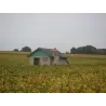 Yves Breussin - Vouvray Brut Tradition "Fines Bulles"