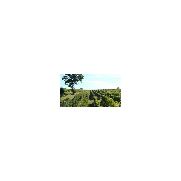 Le Légendaire Bas-Armagnac 70cl