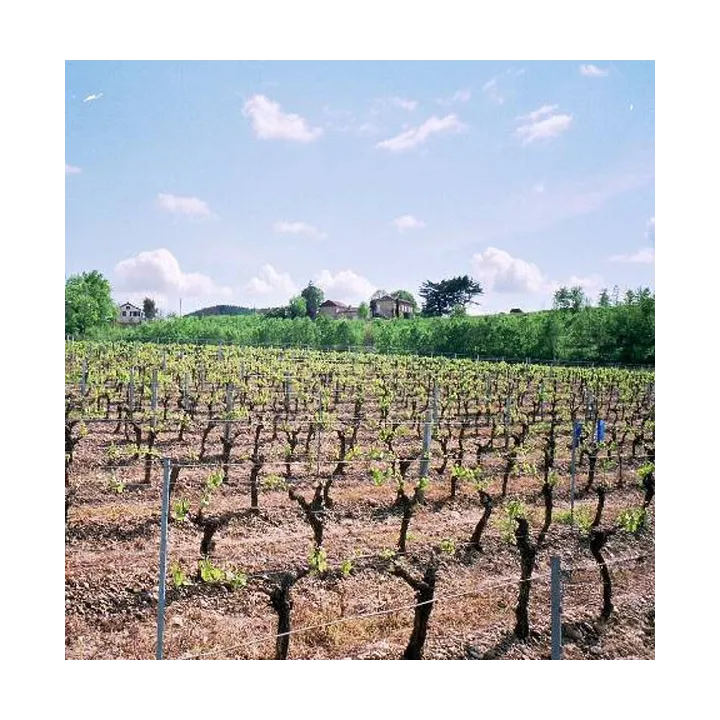 Clos Triguedina 2009