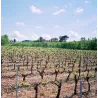 Clos Triguedina 2009