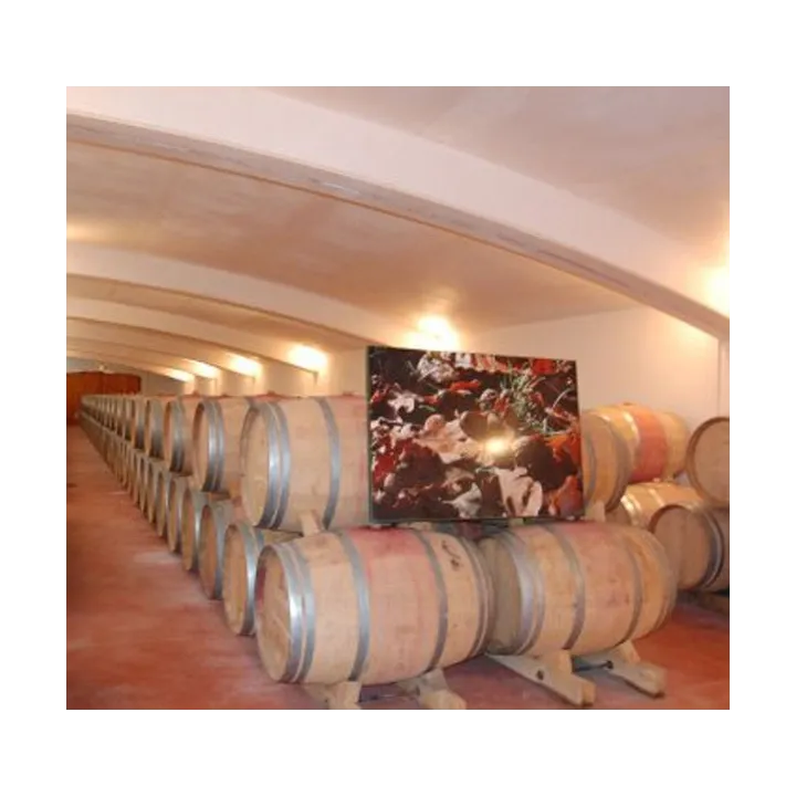 Clos Triguedina 2009