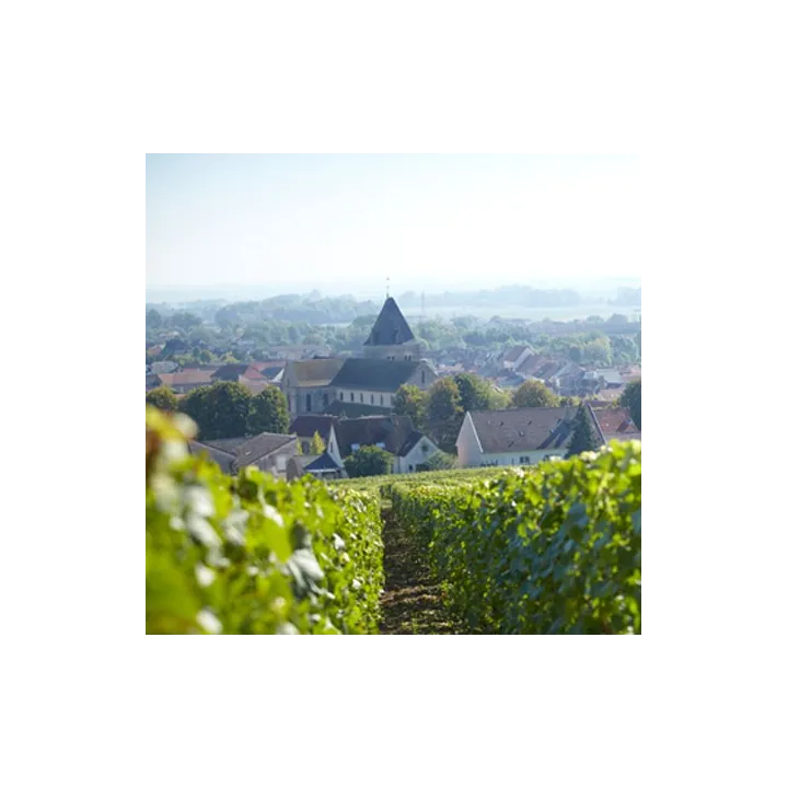 Champagne Duval-Leroy Fleur de Champagne Brut 1er Cru