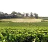 Vieux Château Saint André 2011