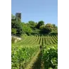 Vieux Château Saint André 2011