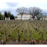 Sarget de Gruaud Larose 2012