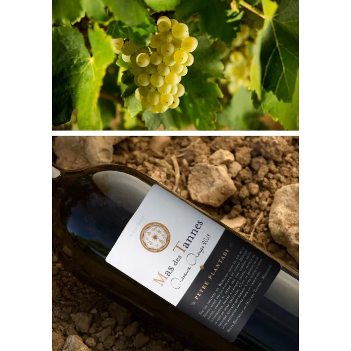 Mas des Tannes Réserve Rouge BIO 2014