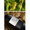 Mas des Tannes Réserve Rouge BIO 2014