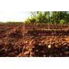 Château des Crès Ricards Alexaume 2014