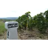 Champagne Autréau-Roualet Brut Réserve
