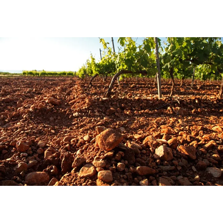 JC MAS Chât. des Crès Ricards Terrasse du Larzac 2014