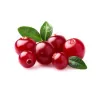Jus de Cranberry 33cl