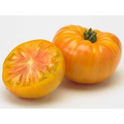 Jus de Tomate Jaune 33cl
