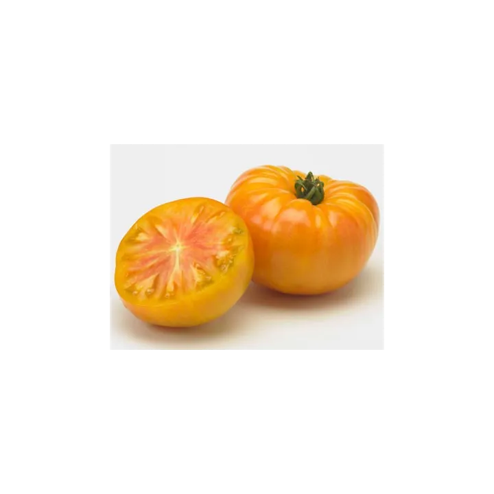 Jus de Tomate Jaune 33cl