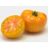 Jus de Tomate Jaune 33cl