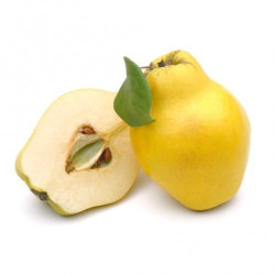 Jus de Pomme Coing 100cl