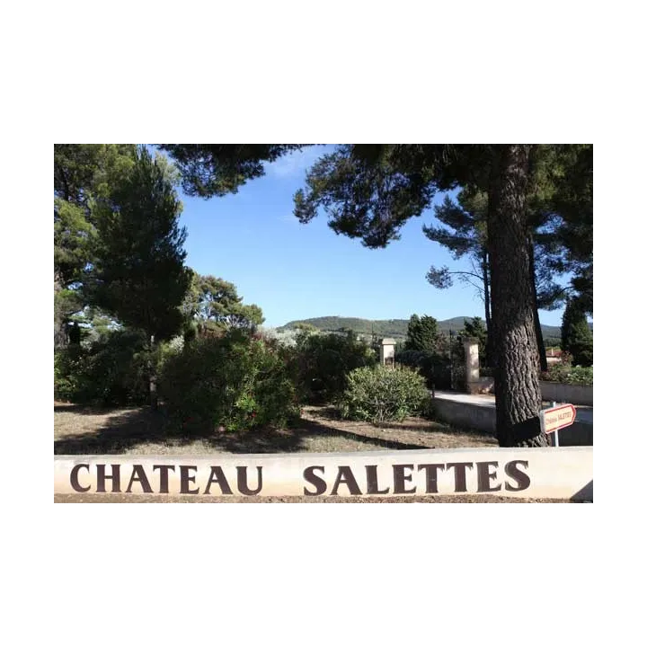 Château Salettes - VERDARAIL Rouge 2016 (50cl)