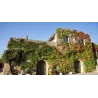 Château Salettes - VERDARAIL Rouge 2016 (50cl)