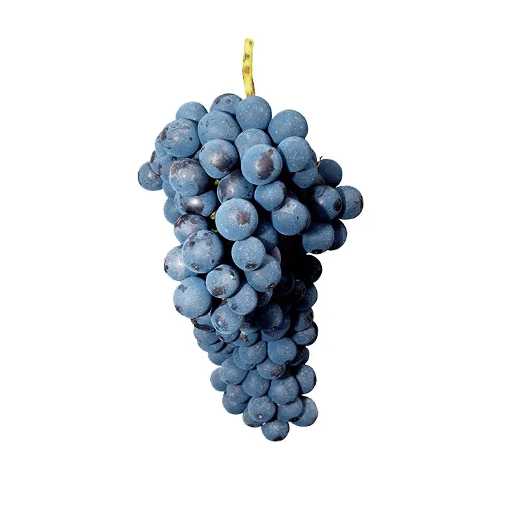 Jus Raisin Rouge Syrah 33cl