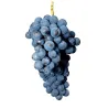 Jus Raisin Rouge Syrah 33cl