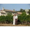 Château Laplagnotte-Bellevue 2014
