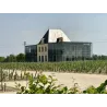 Fleur de Pedesclaux 2014