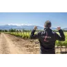 Racines de Lauriga 2016