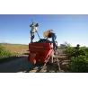 Racines de Lauriga 2016