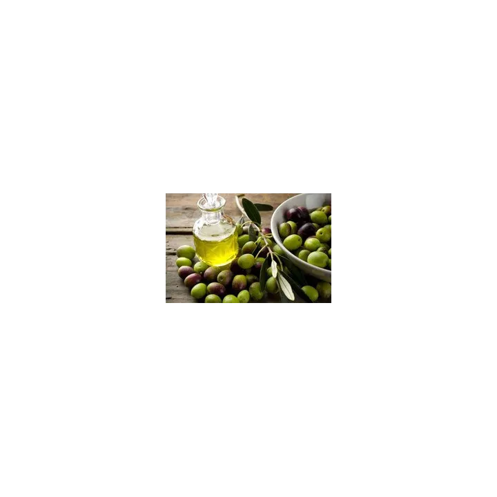 Les Tannes en Occitanie Huile d'Olive Vierge Extra 2018