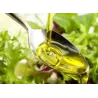 Les Tannes en Occitanie Huile d'Olive Vierge Extra 2018