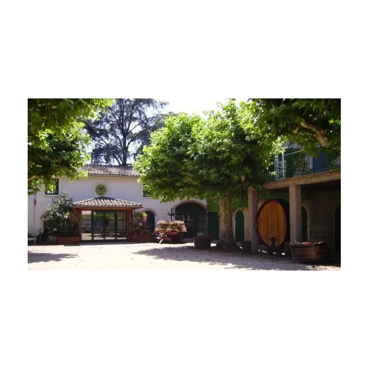 P. Ferraud - Viré-Clessé "L'Elixir de la Roche " 2018