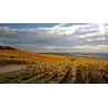 Champagne Baudry Brut Héritage
