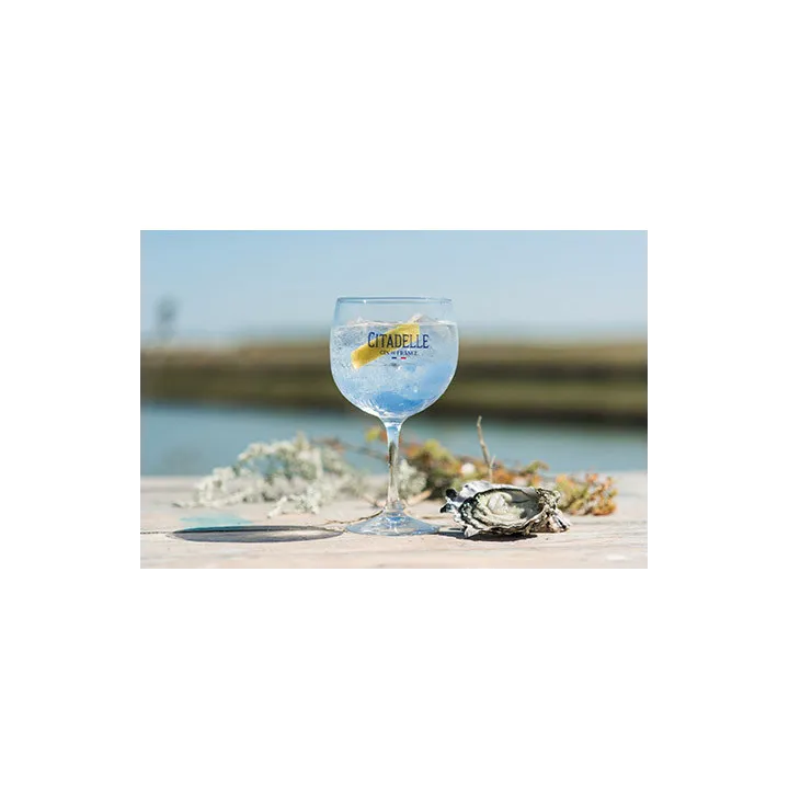 CITADELLE Gin 44%