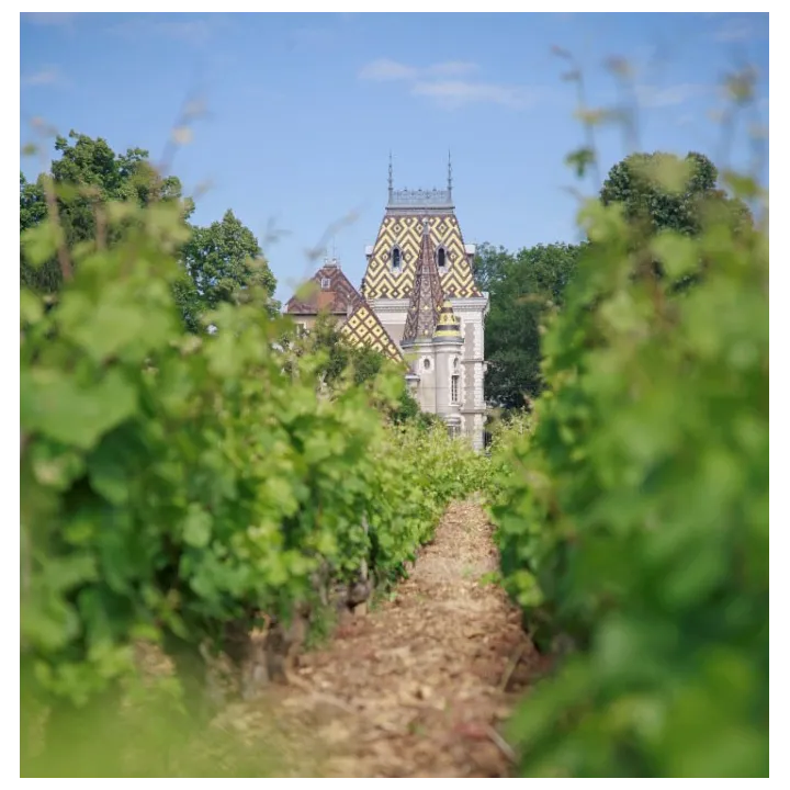 Pierre André - Gevrey-Chambertin 2018