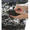 Pierre André - Gevrey-Chambertin 2018