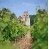 Château de Santenay - Clos de Vougeot Grand Cru 2015