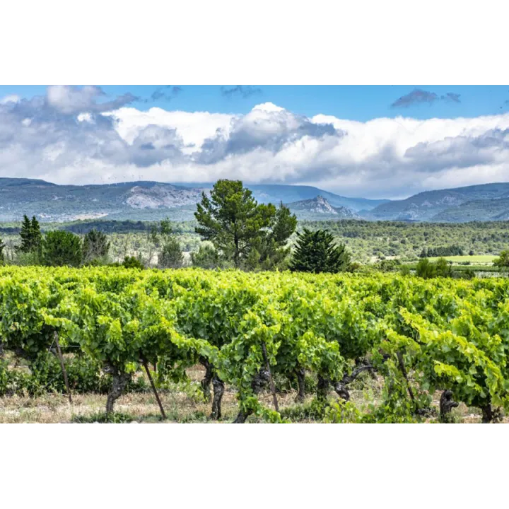 Château Villegly "La Matte" Minervois 2018