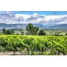 Château Villegly "La Matte" Minervois 2018