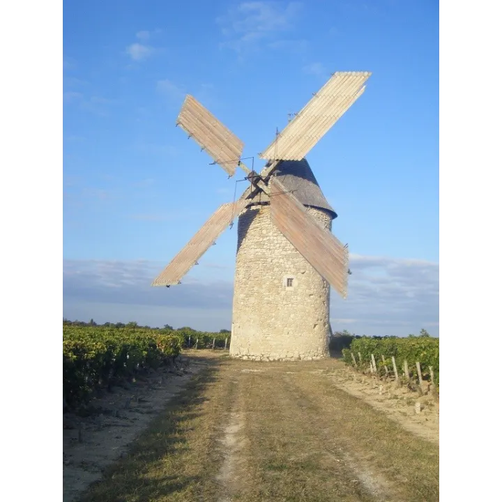 Château Tour Haut Caussan 2010