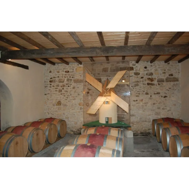 Château Tour Haut Caussan 2010