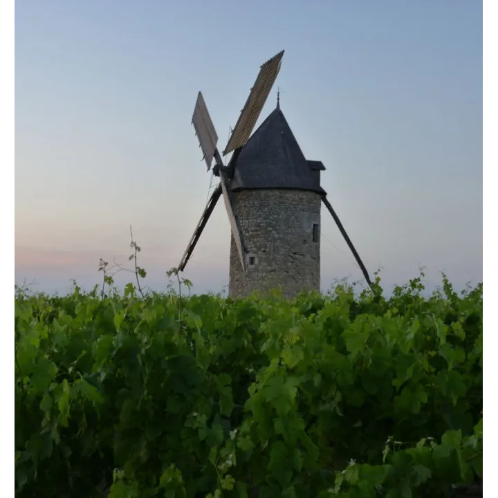 Château Tour Haut Caussan 2010